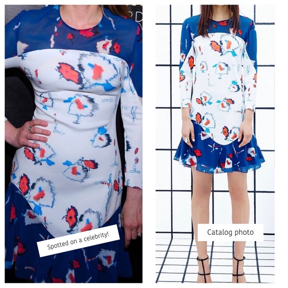 Sachin & Babi Dress, Size 6, long sleeve scuba like material with a little flare - Picture 4 of 4